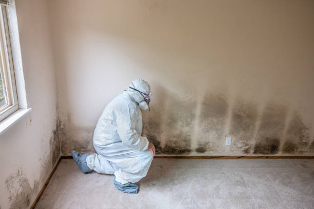 Best Residential Mold Inspection & Testing  in Pioneer, CA